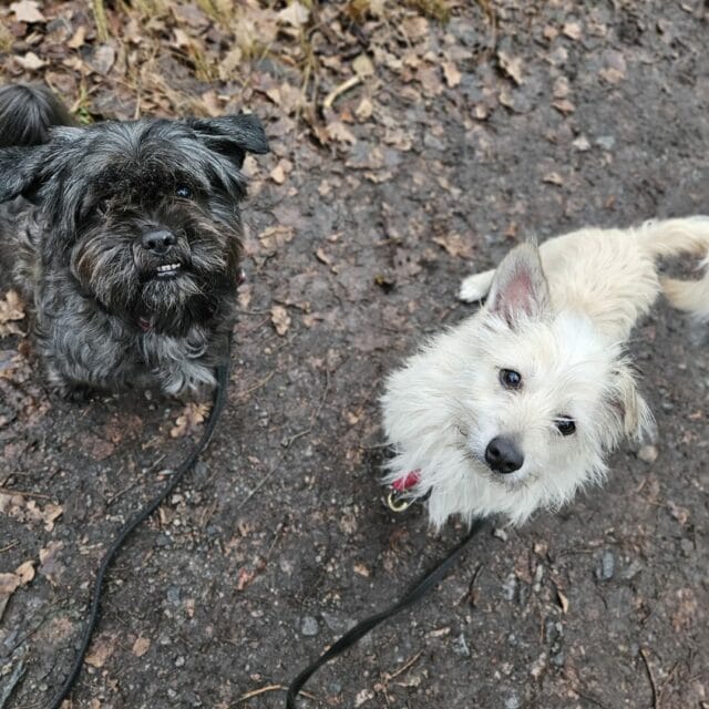 Kai och Torsten