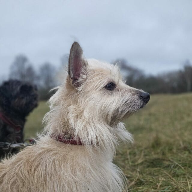 Kai och Torsten