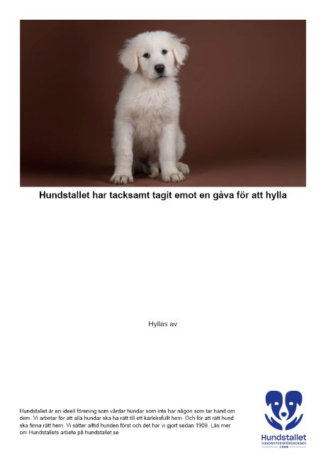 Stockholm Hundm ssa Hundstallet