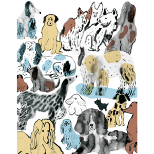 En poster med ett gäng hundar som alla har olika färger och storlekar.