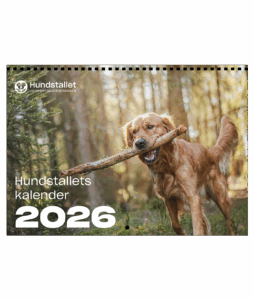 En kalender med en bild på en hund som bär en pinne i munnen.