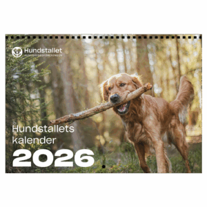 En kalender med en bild på en hund som bär en pinne i munnen.
