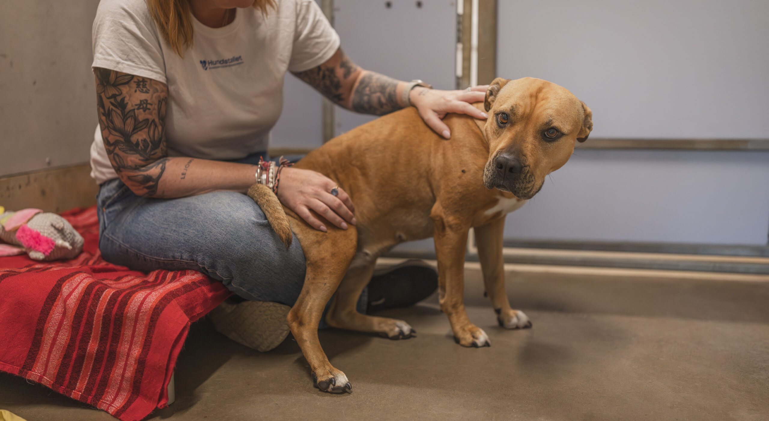 En kvinna sitter på golvet och klappar en hund.