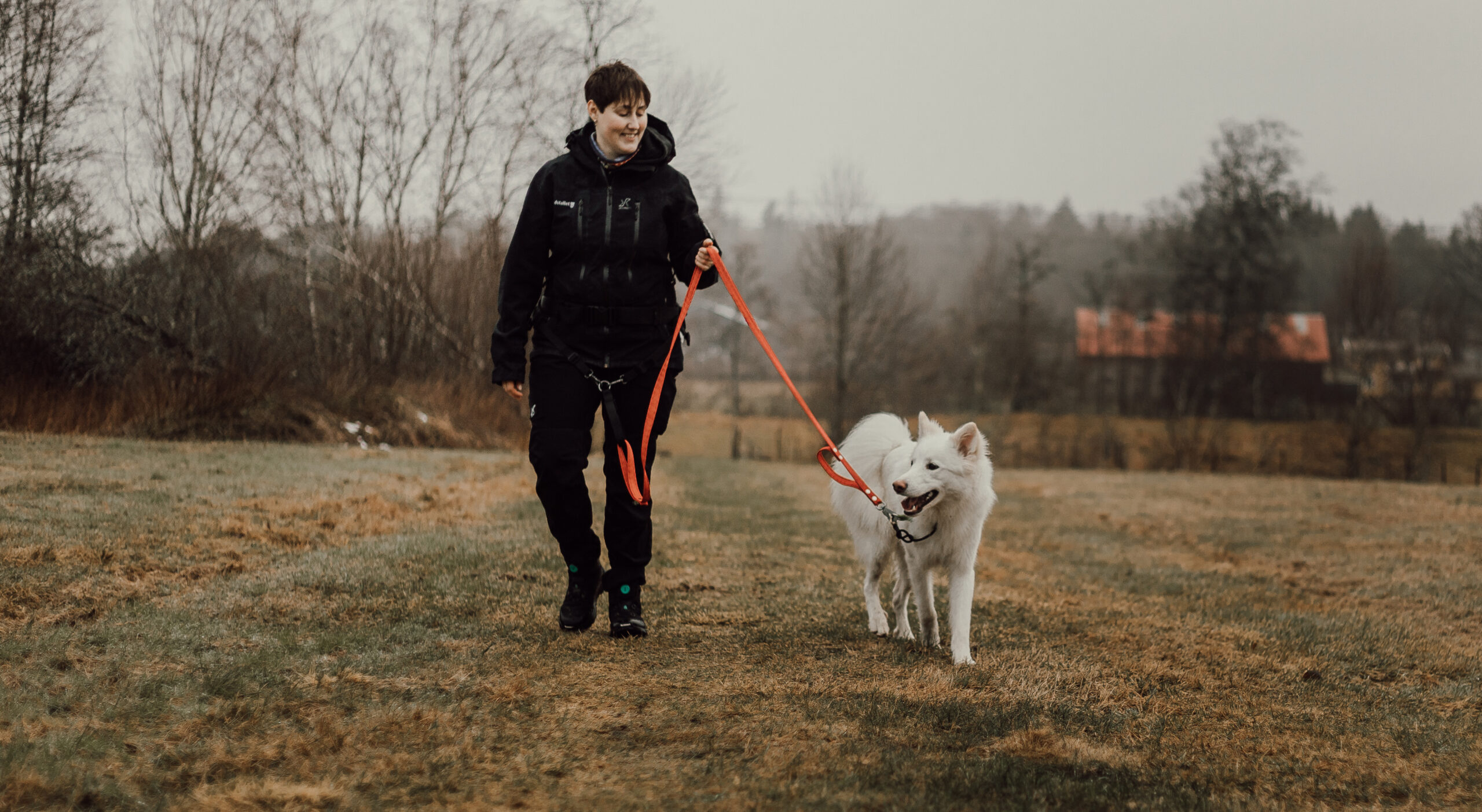 En hundskötare som rastar en vit hund i koppel