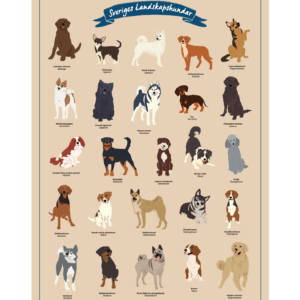 Tecknad poster med 25 stycken landskapshundar.