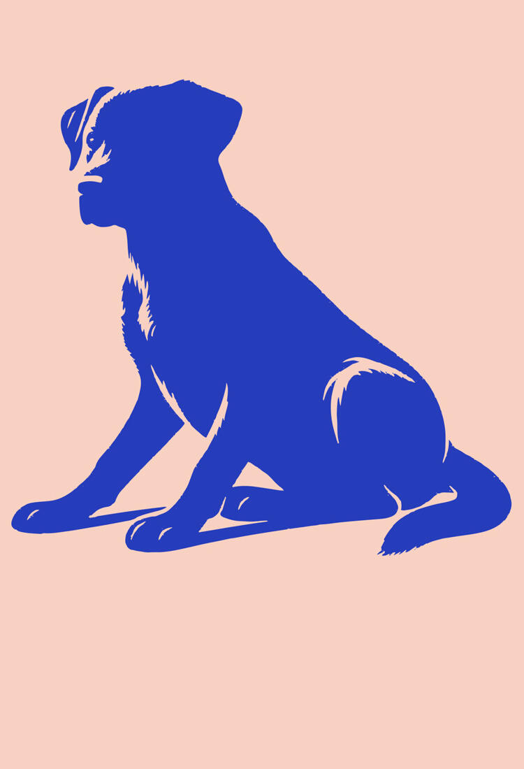 En blå hund som sitter på en rosa bakgrund.