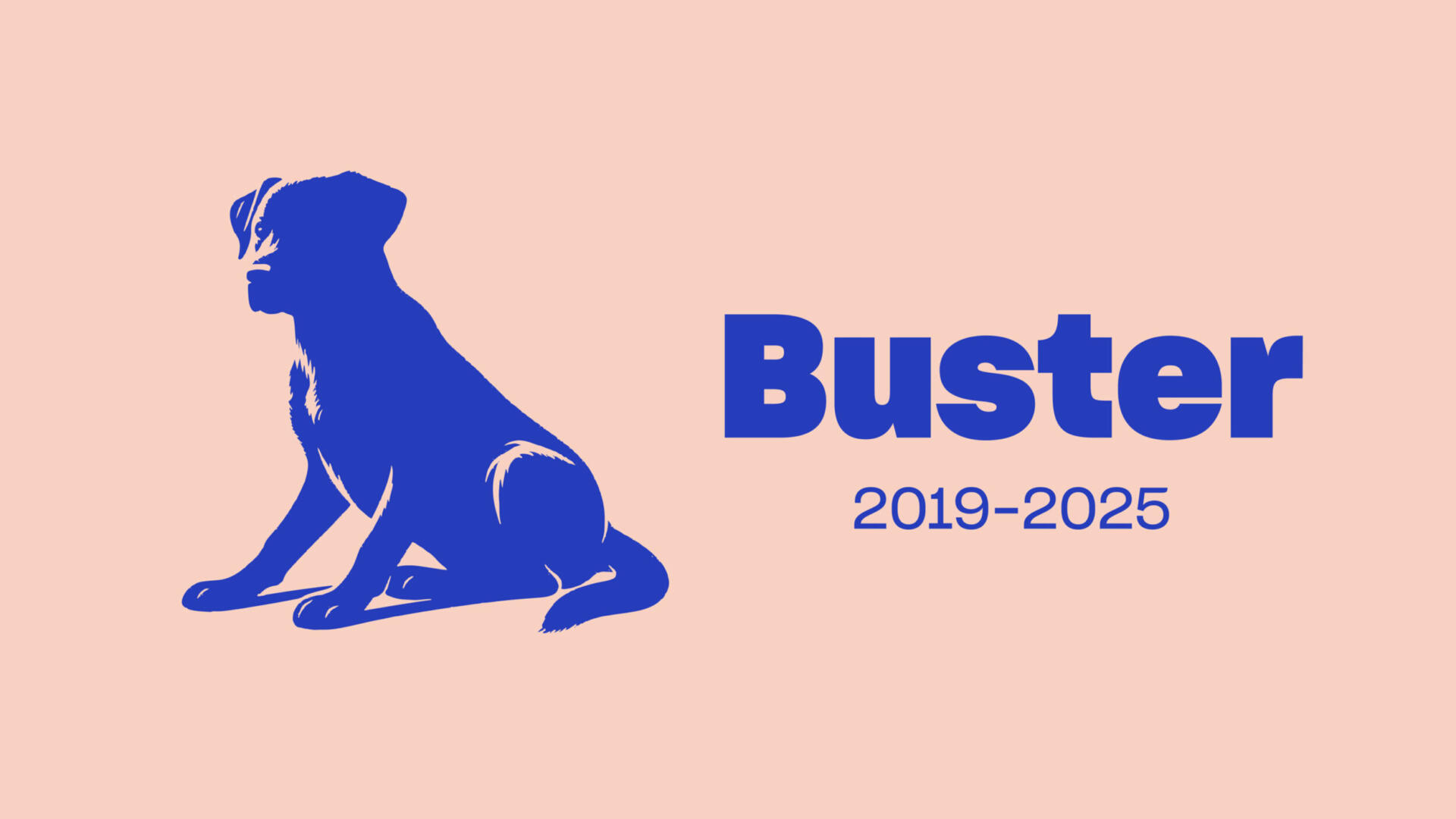 En blå hund som sitter på en rosa bakgrund.