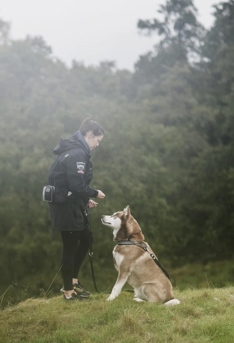 En hundskötare står på en äng och tittat på en hund som sitter och väntar på godis.