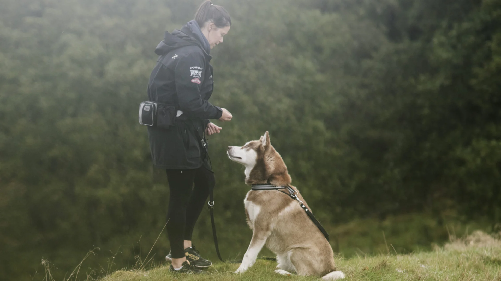 En hundskötare står på en äng och tittat på en hund som sitter och väntar på godis.