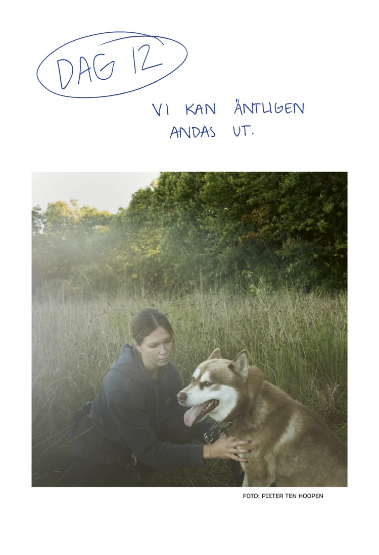 En kvinna som knäböjer bredvid en brun och vit husky på en äng.