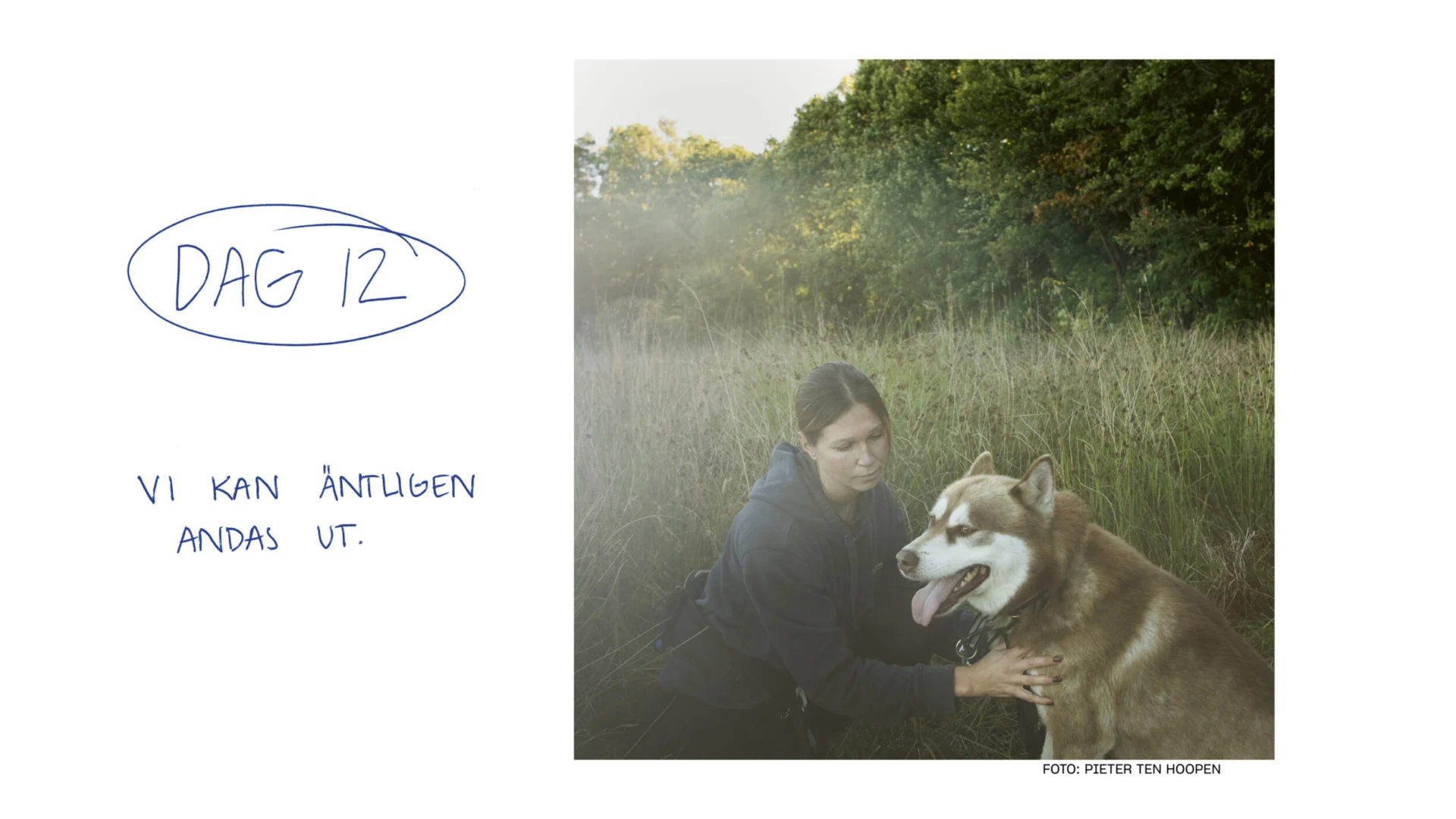 En kvinna som knäböjer bredvid en brun och vit husky.